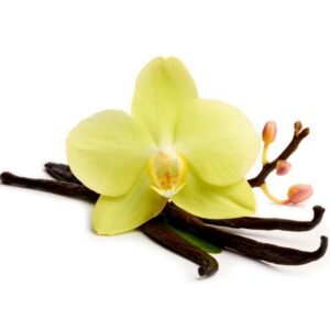 Vanilla uses and benefits