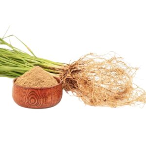 Chrysopogon zizanioides uses and benefits