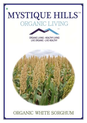 Organic White Sorghum 1 Kg