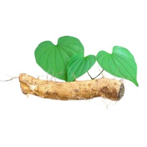 Dioscorea villosa uses and benefits