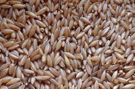 Mystique Bamboo rice 500g