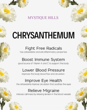 Chrysanthemum flower tea uses and benefits