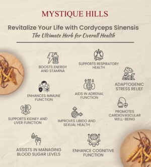Cordyceps sinensis uses and benefits